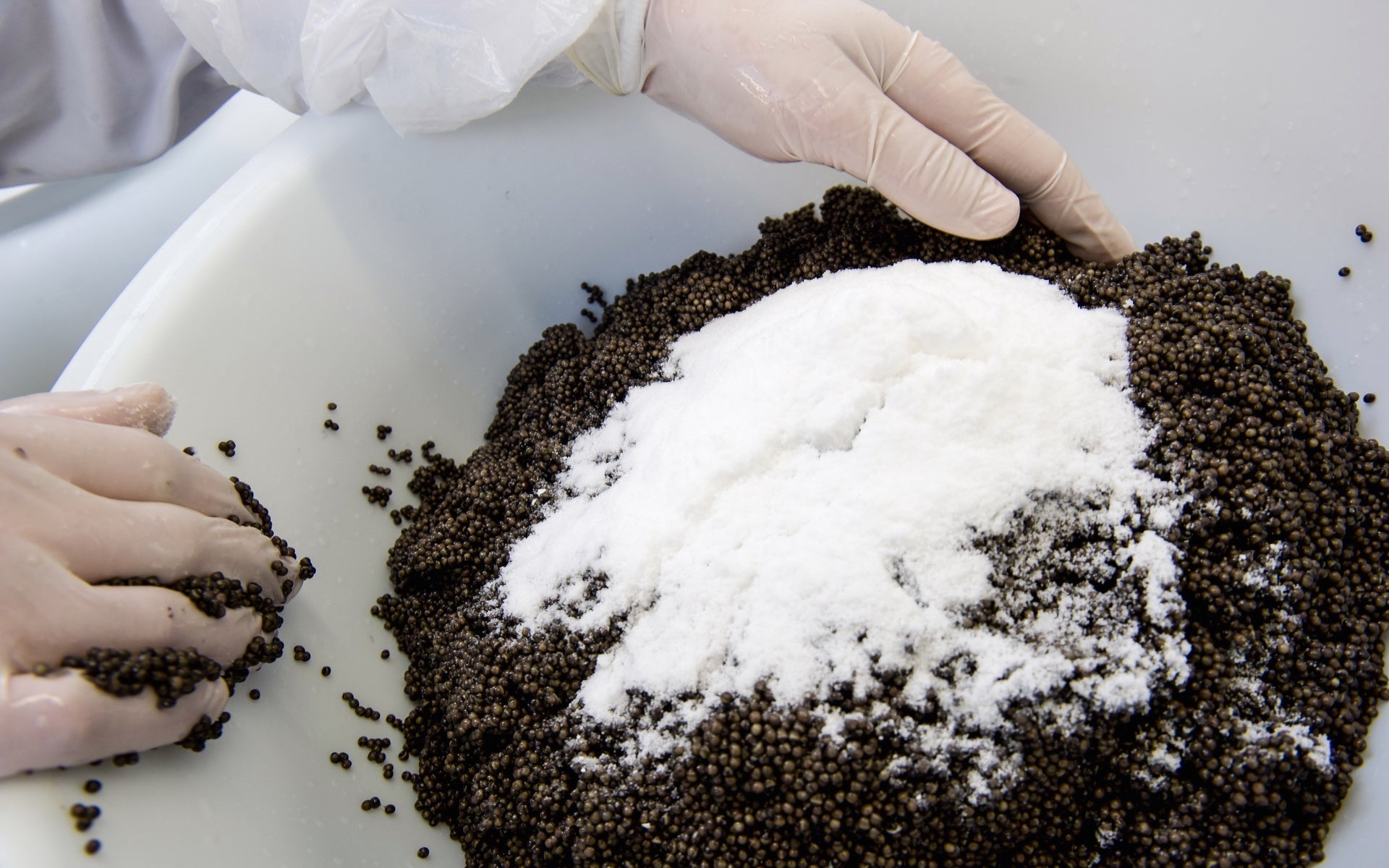 How is Caviar Cured and Preserved?