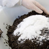 How is caviar cured and preserved?