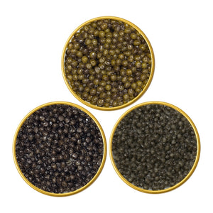 Beluga Sturgeon Black Caviar Malossol Sampler Set