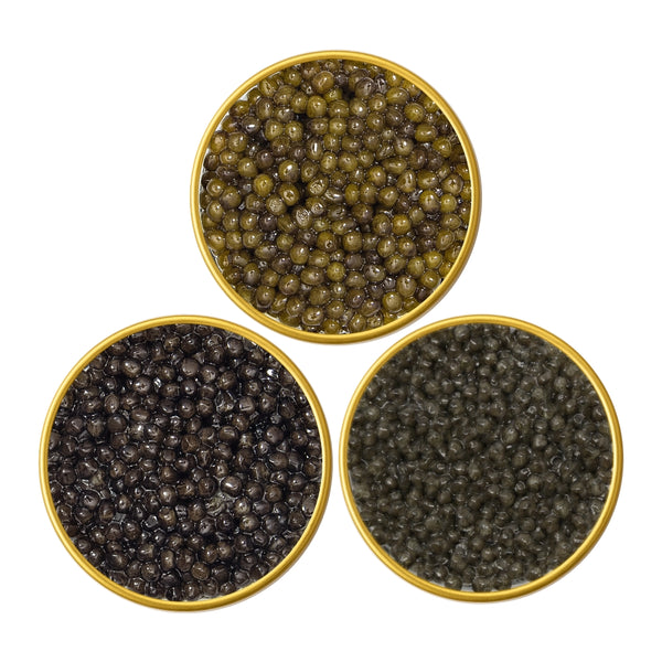 Three round containers filled with different types of beluga caviar on a white background