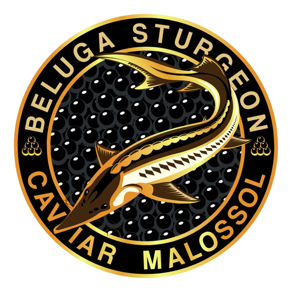Beluga Sturgeon Caviar Malossol circular logo with a Sturgeon fish on a black background