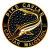 Logo of Pike Caviar with a Sturgeon fish and caviar pattern on a black background.