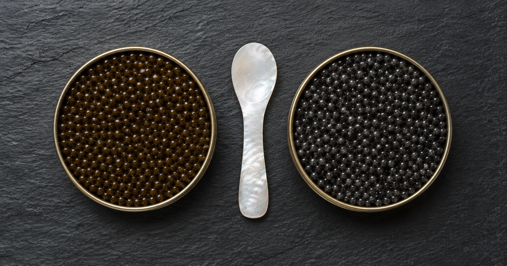 Kaluga vs Beluga Caviar: What's the Difference and Which Should You Buy?