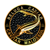 Beluga Caviar