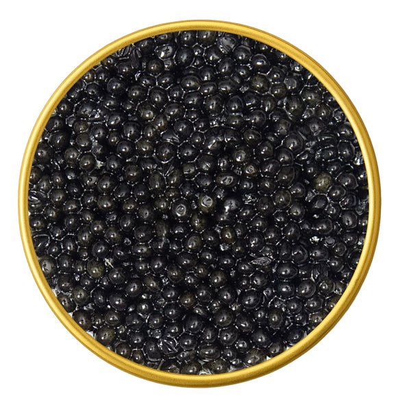 Close-up of a container with American Sturgeon Hackleback Malossol Black Caviar on a white background