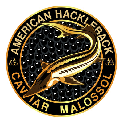 American Hackleback Caviar Malossol circular logo with a Sturgeon fish illustration on a white background.