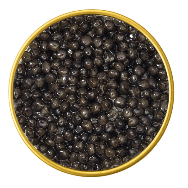 Close-up of a container with American White Sturgeon Malossol Black Caviar on a white background