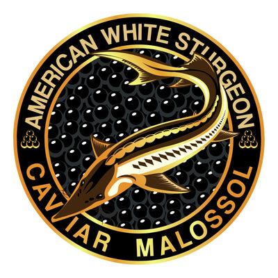 American White Sturgeon Caviar Malossol circular logo with a Sturgeon fish illustration on a white background.
