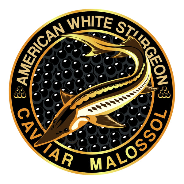 American White Sturgeon Caviar Malossol circular logo with a Sturgeon fish illustration on a white background.