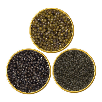 Three round containers filled with different types of beluga caviar on a white background