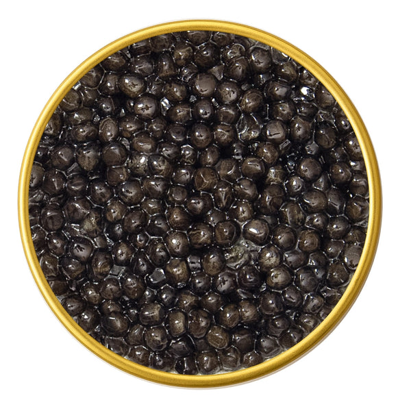 Close-up of a container with Beluga Sturgeon Malossol Black Caviar on a white background