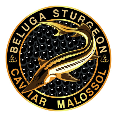 Beluga Sturgeon Caviar Malossol circular logo with a Sturgeon fish on a black background