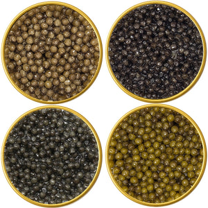 Osetra Sturgeon Black Caviar Malossol Sampler Set