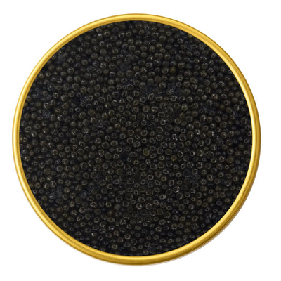 Close-up of a container with Premium Sevruga Sturgeon Malossol Black Caviar on a white background