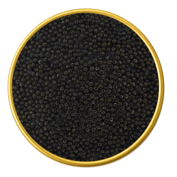 Close-up of a container with Premium Sevruga Sturgeon Malossol Black Caviar on a white background