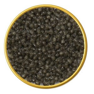 River Beluga Malossol Caviar – Premium Black Kaluga Sturgeon Roe