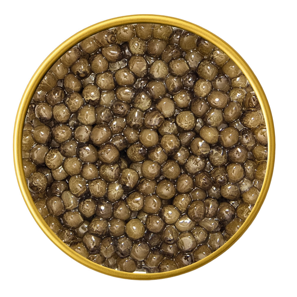 Ryal Roe Royal Osetra Malossol Black Caviar – Select Russian Sturgeon Roe