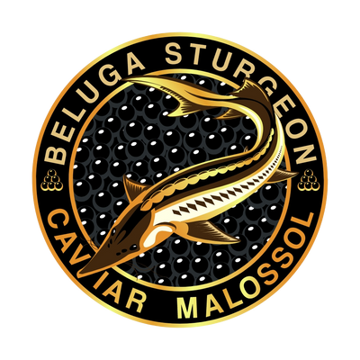 Beluga Sturgeon Malossol Black Caviar