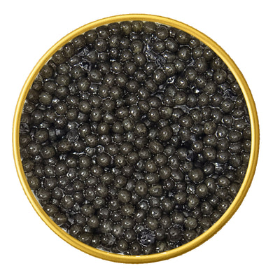 Paddlefish Caviar