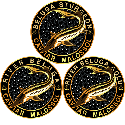 Beluga Sturgeon Malossol Black Caviar Sampler Set